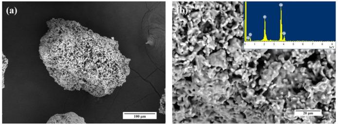 https://cdn.ncbi.nlm.nih.gov/pmc/blobs/65b1/8005114/1aeefc332e37/nanomaterials-11-00811-g012a.jpg