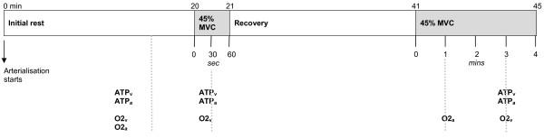 https://cdn.ncbi.nlm.nih.gov/pmc/blobs/65b3/2801472/9c5a59b71d49/1472-6793-9-24-1.jpg