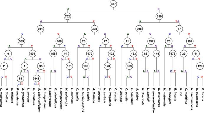 https://cdn.ncbi.nlm.nih.gov/pmc/blobs/65b3/5846911/4b9aa3775dd2/10.1177_1176934318760856-fig2.jpg