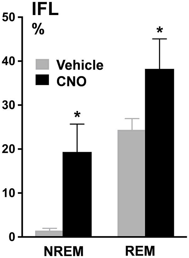 https://cdn.ncbi.nlm.nih.gov/pmc/blobs/65b4/6246694/9be67f0d5194/fneur-09-00962-g0006.jpg