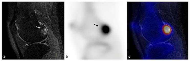 https://cdn.ncbi.nlm.nih.gov/pmc/blobs/65b4/9960762/7859cf0b13d5/life-13-00363-g007.jpg