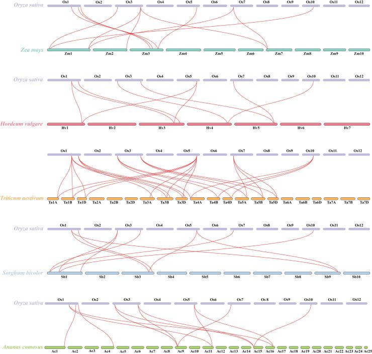 https://cdn.ncbi.nlm.nih.gov/pmc/blobs/65b6/10544316/23f1822903b1/peerj-11-16168-g006.jpg