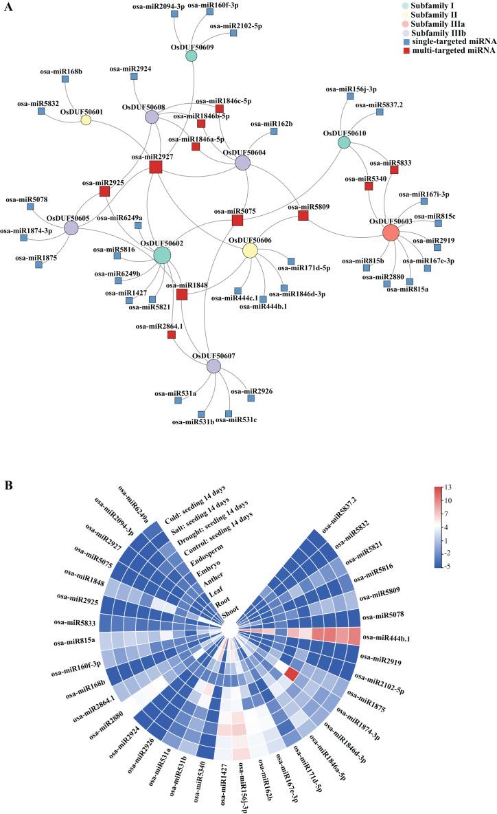 https://cdn.ncbi.nlm.nih.gov/pmc/blobs/65b6/10544316/45c8eec1133b/peerj-11-16168-g007.jpg