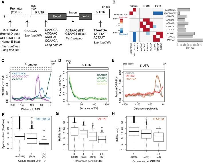 https://cdn.ncbi.nlm.nih.gov/pmc/blobs/65b6/4770384/4c8ba2d5531d/MSB-12-857-g008.jpg