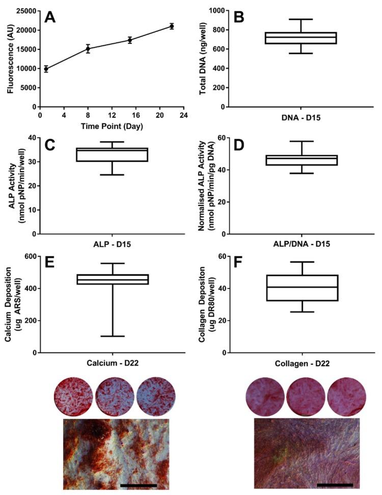 https://cdn.ncbi.nlm.nih.gov/pmc/blobs/65b6/7148480/d583e425d720/bioengineering-07-00012-g001.jpg
