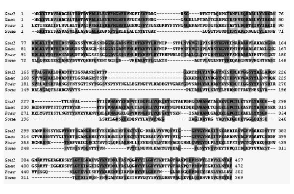 https://cdn.ncbi.nlm.nih.gov/pmc/blobs/65ba/1186022/9656d6abe441/1471-2180-5-41-2.jpg