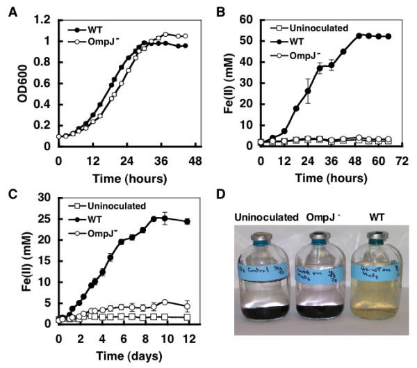https://cdn.ncbi.nlm.nih.gov/pmc/blobs/65ba/1186022/f123b637f82d/1471-2180-5-41-4.jpg