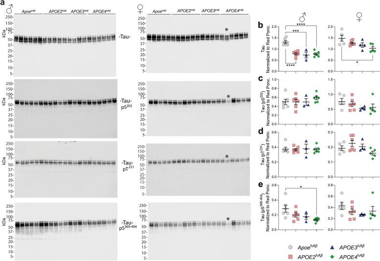 https://cdn.ncbi.nlm.nih.gov/pmc/blobs/65bc/11438110/41a1c6169a67/12964_2024_1832_Fig4_HTML.jpg