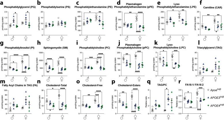 https://cdn.ncbi.nlm.nih.gov/pmc/blobs/65bc/11438110/ba74cce5e3d6/12964_2024_1832_Fig9_HTML.jpg