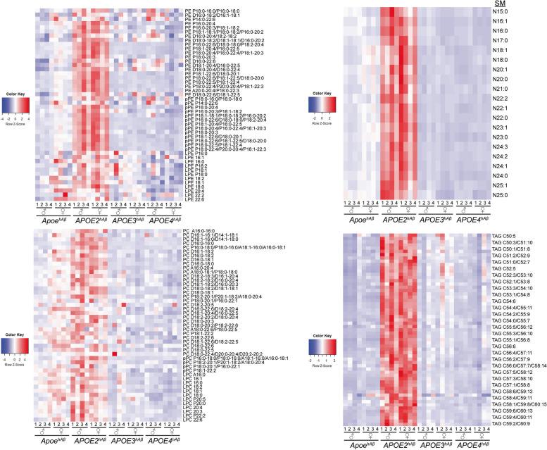 https://cdn.ncbi.nlm.nih.gov/pmc/blobs/65bc/11438110/cd50a133b5b0/12964_2024_1832_Fig11_HTML.jpg