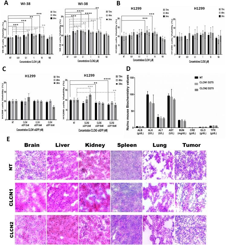 https://cdn.ncbi.nlm.nih.gov/pmc/blobs/65c0/5564640/6d942aa75a58/oncotarget-08-48222-g007.jpg