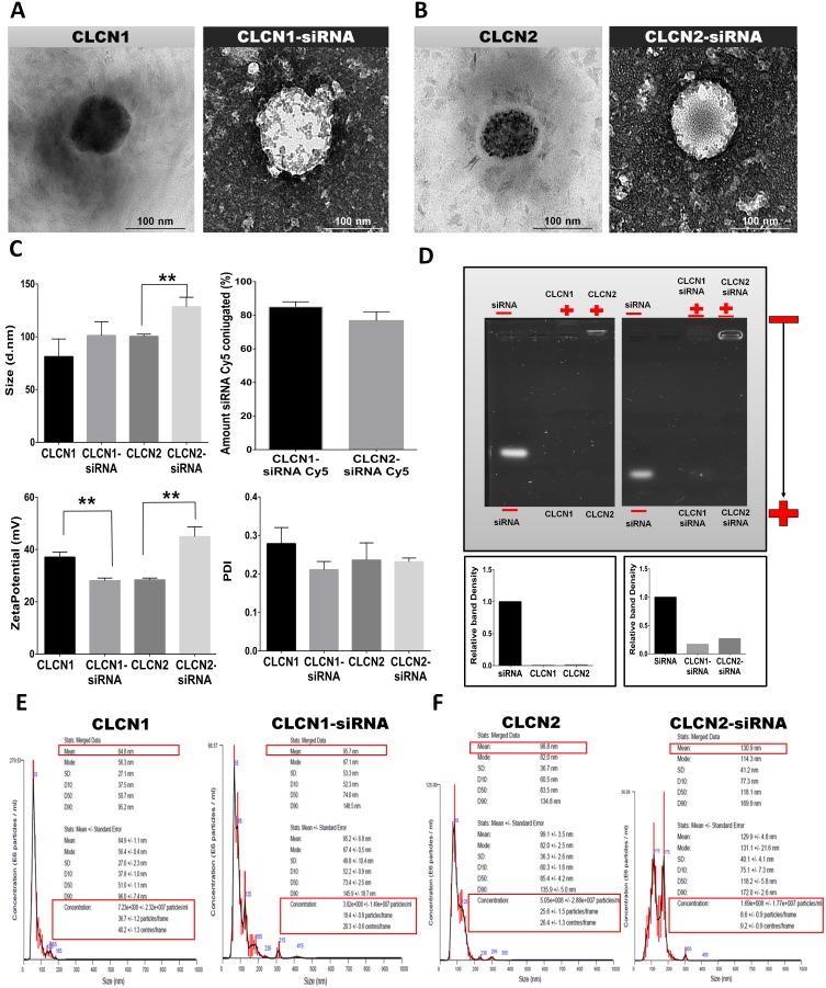 https://cdn.ncbi.nlm.nih.gov/pmc/blobs/65c0/5564640/dd8a79a0c1ac/oncotarget-08-48222-g002.jpg