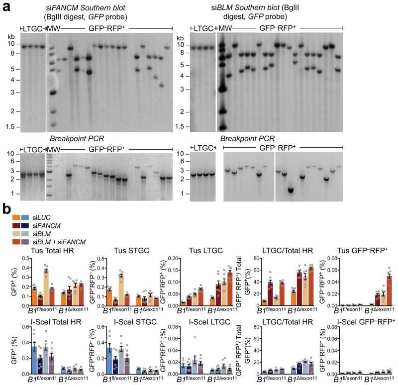 https://cdn.ncbi.nlm.nih.gov/pmc/blobs/65c0/5728692/65936beb8a32/nihms911888f9.jpg