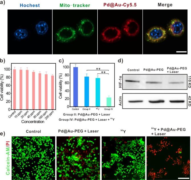 https://cdn.ncbi.nlm.nih.gov/pmc/blobs/65c1/10763042/50a994106321/12951_2023_2268_Fig2_HTML.jpg