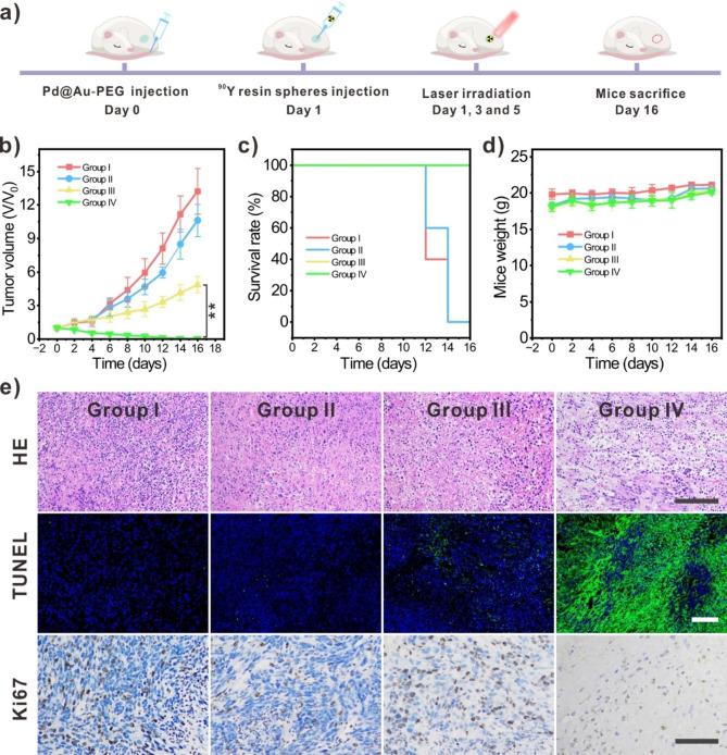 https://cdn.ncbi.nlm.nih.gov/pmc/blobs/65c1/10763042/b6ff0fc010b2/12951_2023_2268_Fig4_HTML.jpg