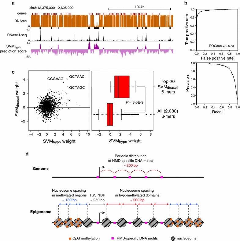 https://cdn.ncbi.nlm.nih.gov/pmc/blobs/65c2/5607494/13e8da0ff339/13072_2017_152_Fig4_HTML.jpg