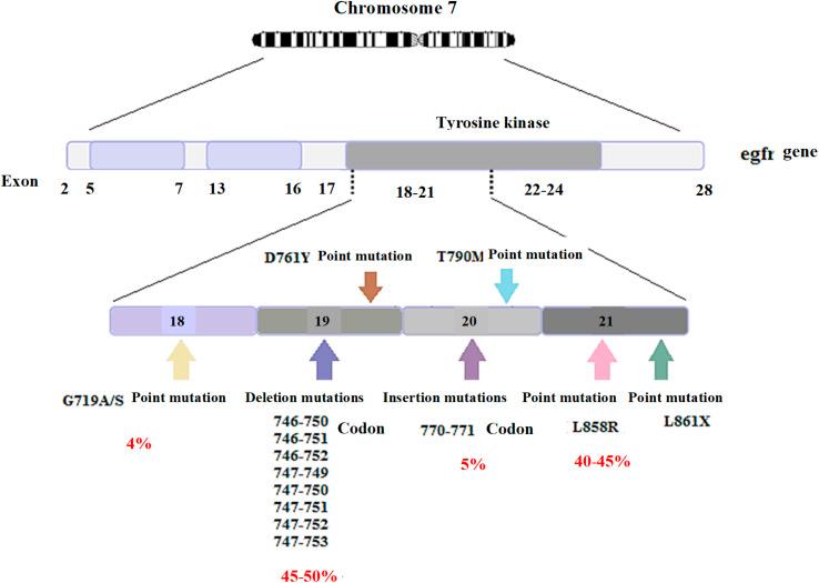 https://cdn.ncbi.nlm.nih.gov/pmc/blobs/65c3/9843741/ea648c7bc89b/d2ra05808a-f6.jpg