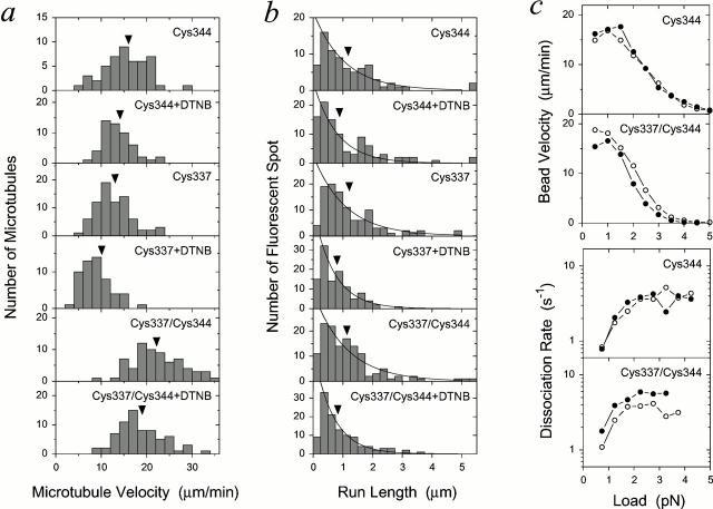 https://cdn.ncbi.nlm.nih.gov/pmc/blobs/65c5/2174365/d16e270fb98a/JCB0009039.f4.jpg