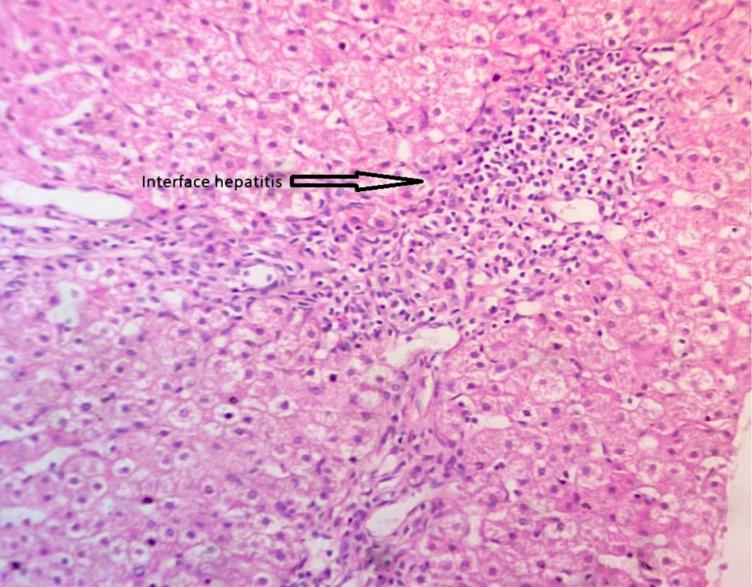 https://cdn.ncbi.nlm.nih.gov/pmc/blobs/65c5/7757864/c9bdd55817fd/pone.0239964.g001.jpg