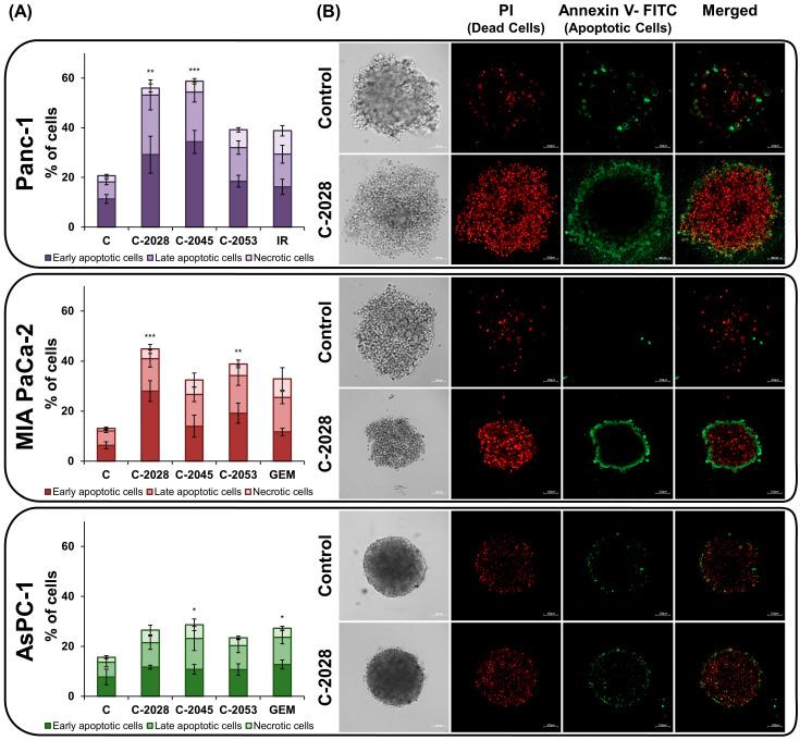 https://cdn.ncbi.nlm.nih.gov/pmc/blobs/65c7/12347750/4d38a5fe3ff5/ijms-26-07557-g004.jpg