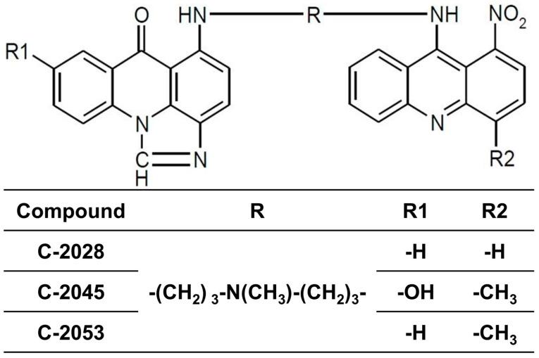 https://cdn.ncbi.nlm.nih.gov/pmc/blobs/65c7/12347750/df9be48b3a57/ijms-26-07557-g001.jpg