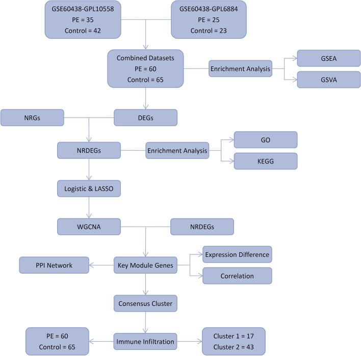 https://cdn.ncbi.nlm.nih.gov/pmc/blobs/65c8/10320970/c260b8e29c89/12884_2023_5821_Fig1_HTML.jpg