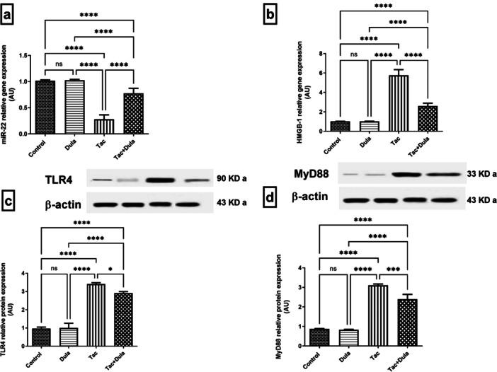 https://cdn.ncbi.nlm.nih.gov/pmc/blobs/65c8/11983086/511c3ade6236/ARDP-358-e3127-g005.jpg