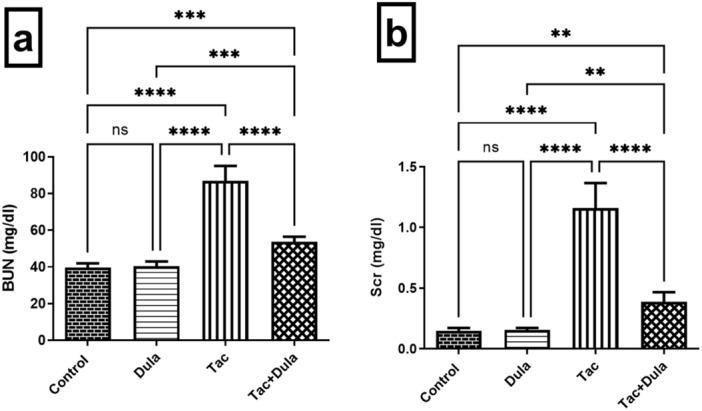 https://cdn.ncbi.nlm.nih.gov/pmc/blobs/65c8/11983086/78a8513ad8d1/ARDP-358-e3127-g002.jpg