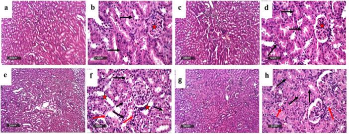 https://cdn.ncbi.nlm.nih.gov/pmc/blobs/65c8/11983086/a626443932d6/ARDP-358-e3127-g006.jpg