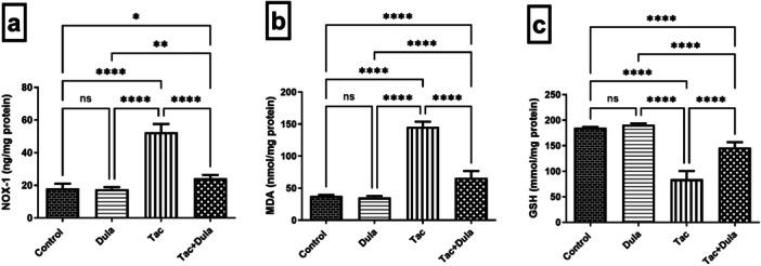 https://cdn.ncbi.nlm.nih.gov/pmc/blobs/65c8/11983086/b9ad957f2480/ARDP-358-e3127-g003.jpg