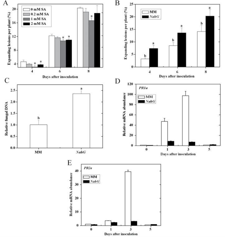 https://cdn.ncbi.nlm.nih.gov/pmc/blobs/65c8/3542053/2a4a4444b99f/exbotj_ers360_f0003.jpg