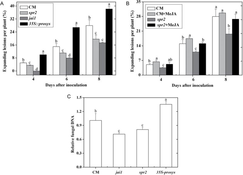 https://cdn.ncbi.nlm.nih.gov/pmc/blobs/65c8/3542053/c7ba740266e7/exbotj_ers360_f0002.jpg