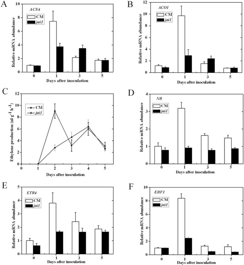 https://cdn.ncbi.nlm.nih.gov/pmc/blobs/65c8/3542053/f4553a20e38e/exbotj_ers360_f0004.jpg