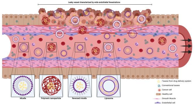 https://cdn.ncbi.nlm.nih.gov/pmc/blobs/65c8/7592152/126363cfe8e1/IJN-15-8151-g0002.jpg