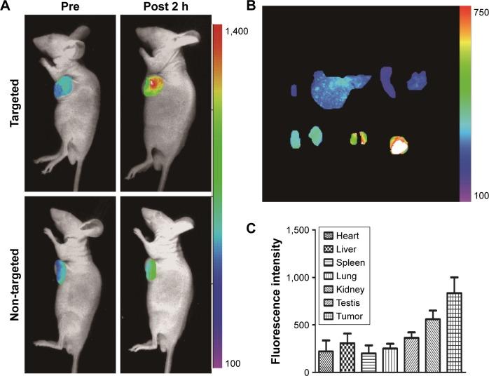 https://cdn.ncbi.nlm.nih.gov/pmc/blobs/65c9/5602459/36497d7d1b5c/ijn-12-6787Fig6.jpg