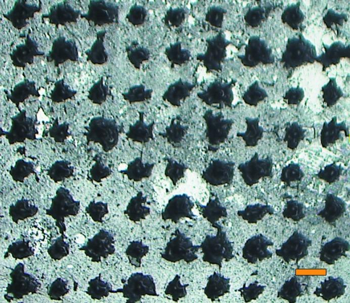 https://cdn.ncbi.nlm.nih.gov/pmc/blobs/65ca/6173051/22aed4ba4371/d-74-01000-fig2.jpg