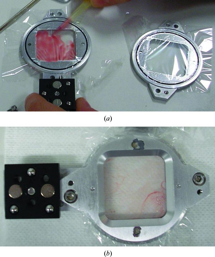 https://cdn.ncbi.nlm.nih.gov/pmc/blobs/65ca/6173051/8a4d273cf644/d-74-01000-fig1.jpg