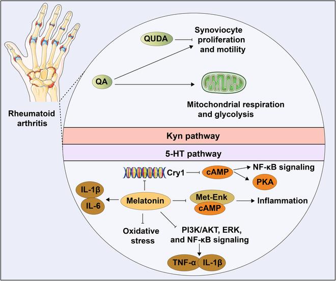 https://cdn.ncbi.nlm.nih.gov/pmc/blobs/65cb/12150400/2375bcd15c33/research.0728.fig.005.jpg