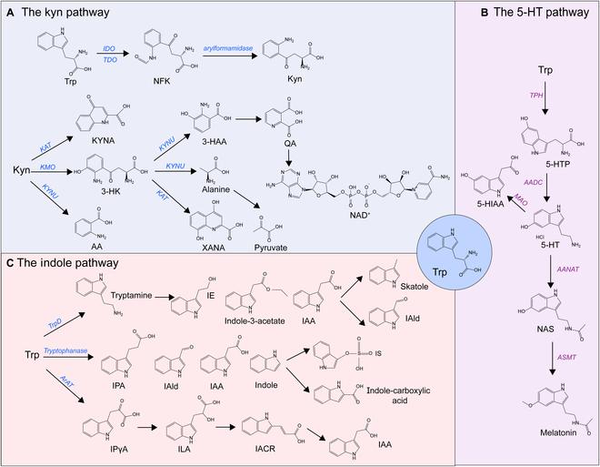 https://cdn.ncbi.nlm.nih.gov/pmc/blobs/65cb/12150400/41cd8f80f54a/research.0728.fig.001.jpg