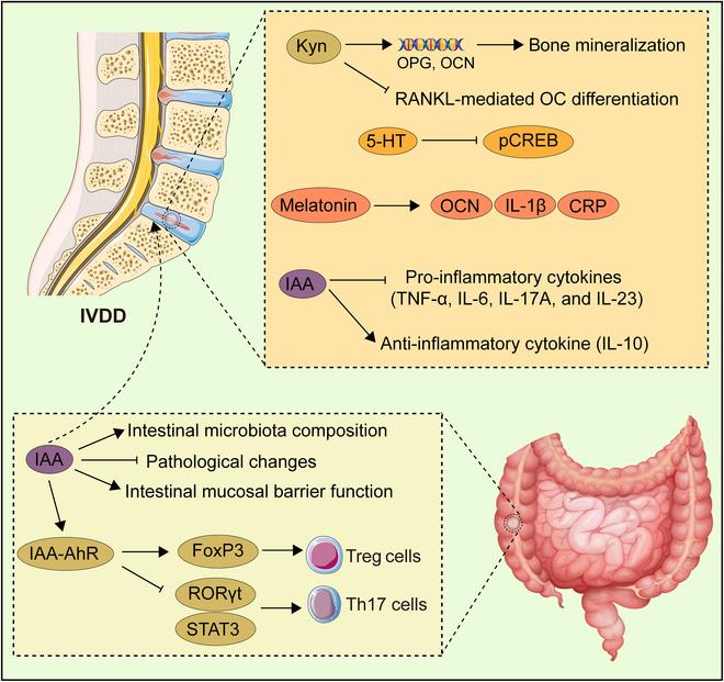 https://cdn.ncbi.nlm.nih.gov/pmc/blobs/65cb/12150400/f280adccbb32/research.0728.fig.006.jpg