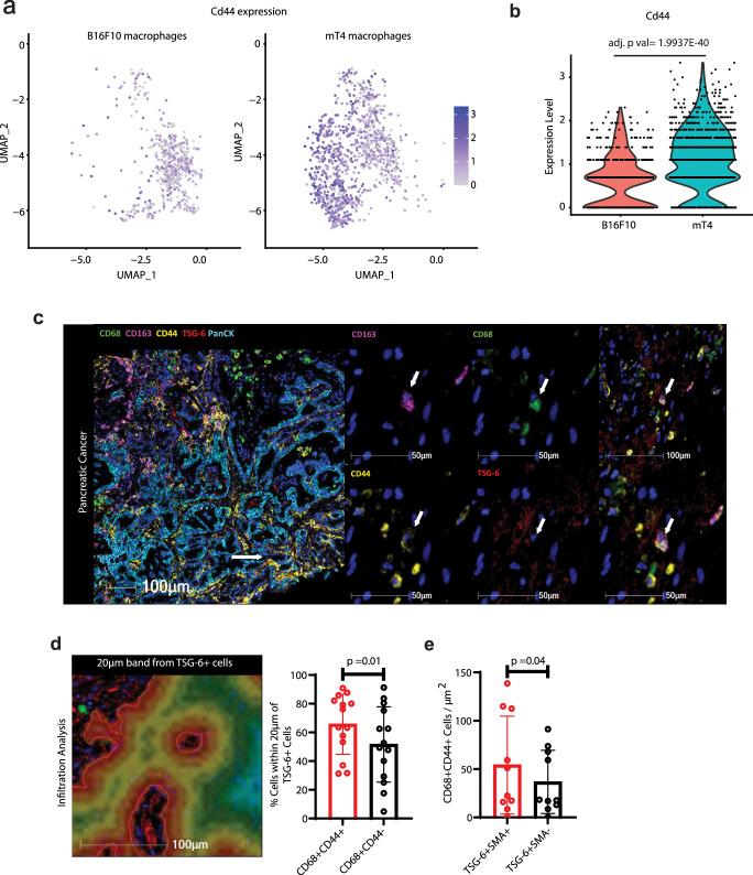 https://cdn.ncbi.nlm.nih.gov/pmc/blobs/65cd/11237123/152c31603acd/41467_2024_49189_Fig4_HTML.jpg