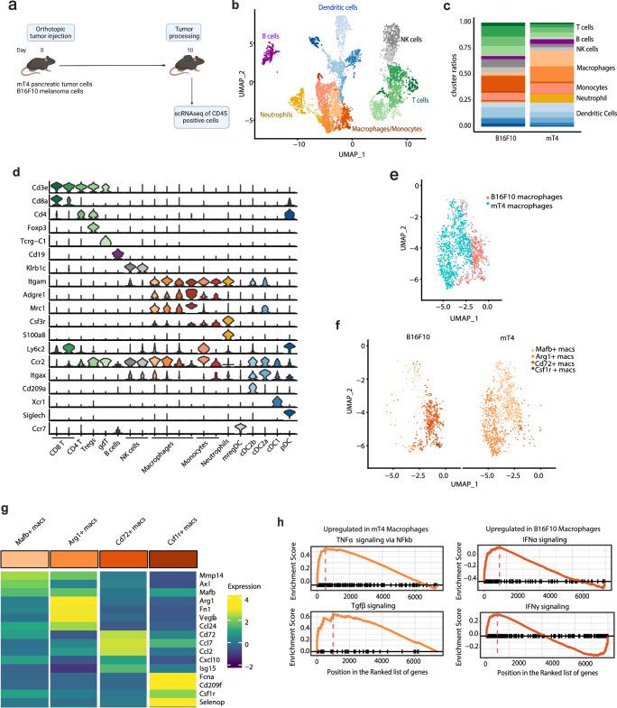 https://cdn.ncbi.nlm.nih.gov/pmc/blobs/65cd/11237123/1823da3e6af3/41467_2024_49189_Fig3_HTML.jpg