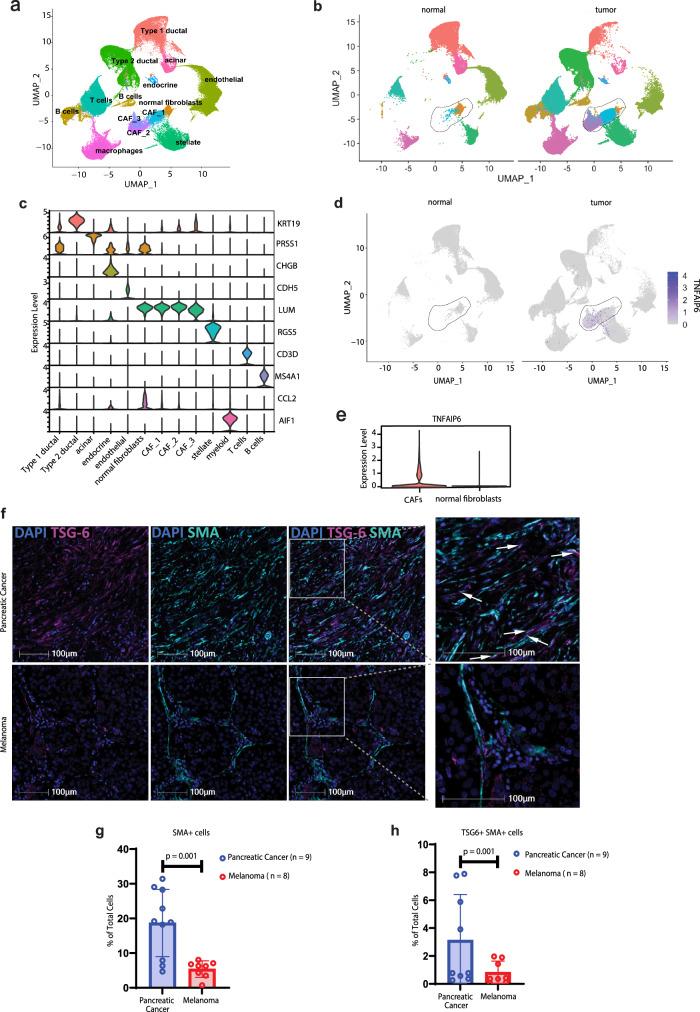 https://cdn.ncbi.nlm.nih.gov/pmc/blobs/65cd/11237123/a67cc3eb6fbd/41467_2024_49189_Fig2_HTML.jpg