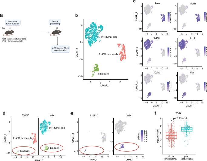 https://cdn.ncbi.nlm.nih.gov/pmc/blobs/65cd/11237123/b327525b9b2e/41467_2024_49189_Fig1_HTML.jpg