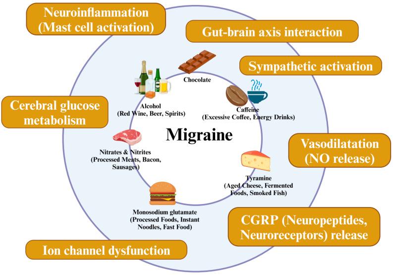 https://cdn.ncbi.nlm.nih.gov/pmc/blobs/65cd/11858445/11d1e10814d2/nutrients-17-00669-g001.jpg