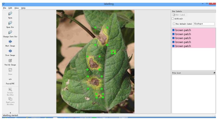https://cdn.ncbi.nlm.nih.gov/pmc/blobs/65ce/10648829/085d545fe0b6/plants-12-03765-g007.jpg