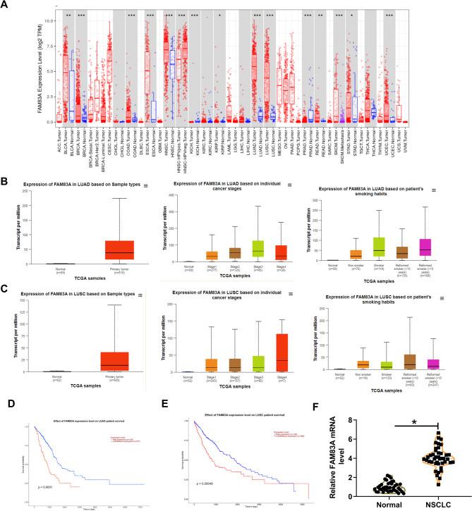 https://cdn.ncbi.nlm.nih.gov/pmc/blobs/65ce/12255003/22cb20638498/13008_2025_162_Fig1_HTML.jpg
