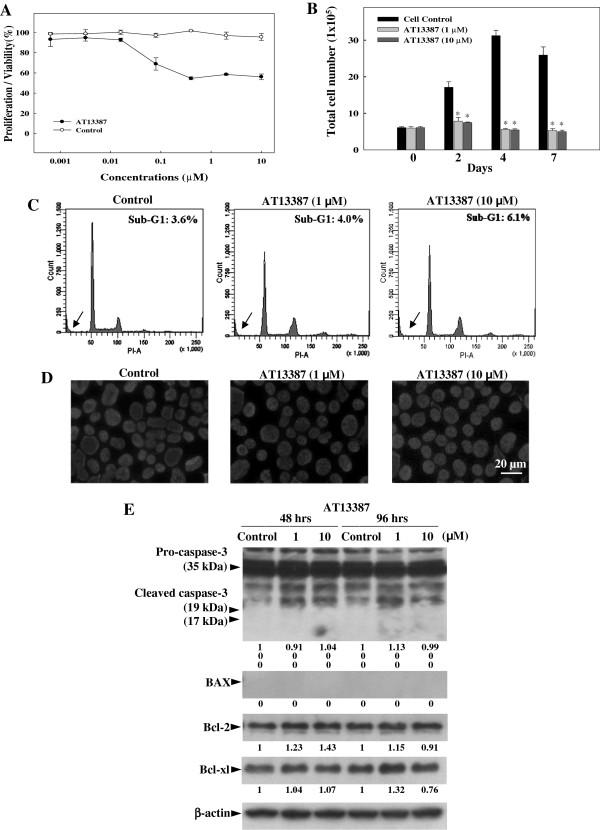 https://cdn.ncbi.nlm.nih.gov/pmc/blobs/65ce/3834878/31142e25a882/1476-4598-12-128-1.jpg