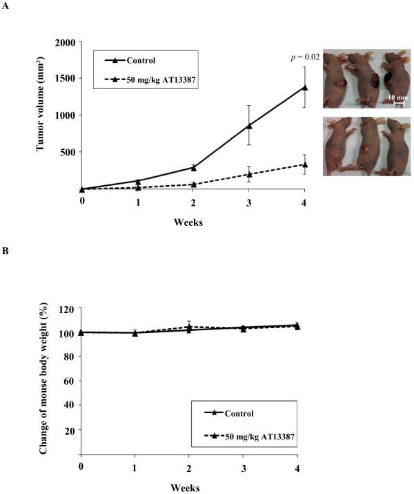 https://cdn.ncbi.nlm.nih.gov/pmc/blobs/65ce/3834878/7e4b224754d1/1476-4598-12-128-6.jpg