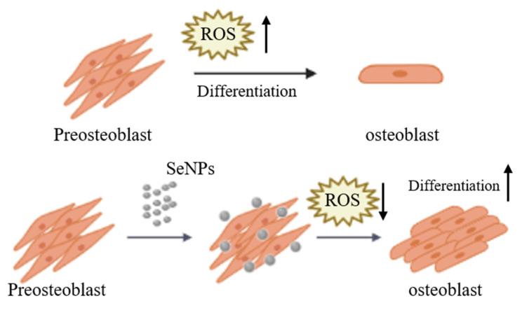https://cdn.ncbi.nlm.nih.gov/pmc/blobs/65ce/7926403/3402f7d27415/nanomaterials-11-00557-g007.jpg